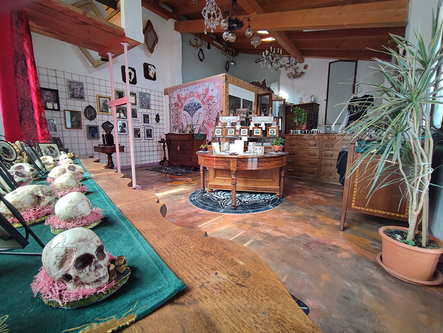 Foto panoramica dell'atelier situato a Divignano (Novara, Italia) - Piccoli teschi umani e di gatto, fatti a mano, in ceramica, muschio rosato pietre naturali e carta antica originali primo piano su un tavolo, in lonananza dipinti incorniciati su un altro tavolo che rappresentano teschi di animali e insetti in acquerello e olio. Nello sfondo un muro bianco con le opere appese e teschio di un toro - Stefania Russo, aka Illusorya - Dark Gothic Fantasy Art