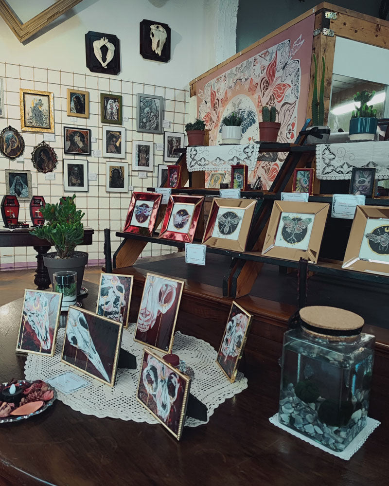 Foto panoramica dell'atelier situato a Divignano (Novara, Italia) - Piccoli dipinti incorniciati su un tavolo che rappresentano teschi di animali e insetti in acquerello e olio. Nello sfondo un muro bianco con le opere appese e teschio di un toro - Stefania Russo, aka Illusorya - Dark Gothic Fantasy Art