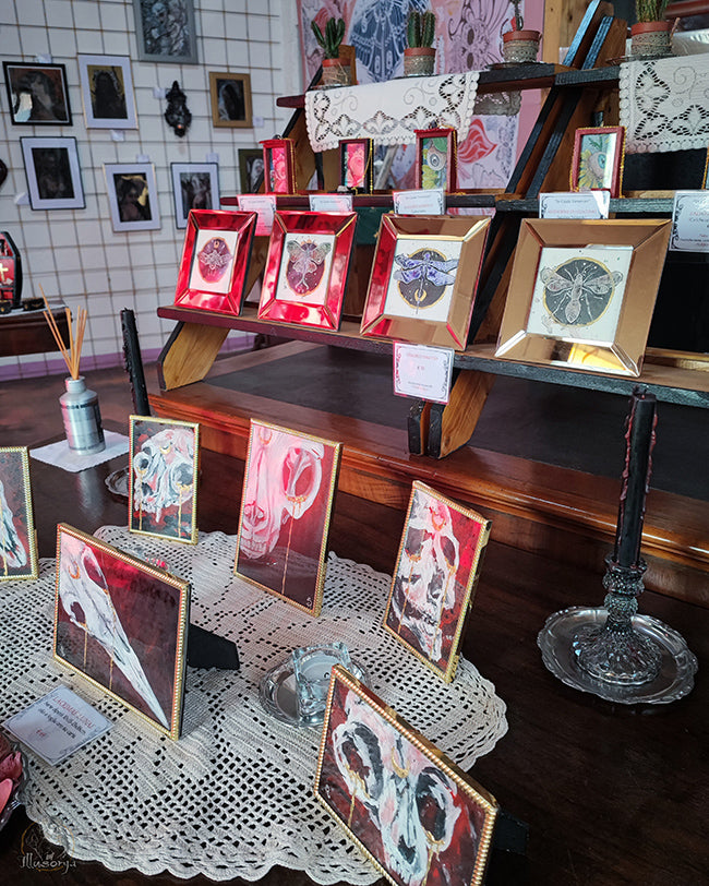 Foto panoramica dell'atelier situato a Divignano (Novara, Italia) - Piccoli dipinti incorniciati su un tavolo che rappresentano teschi di animali e insetti in acquerello e olio. Nello sfondo un muro bianco con le opere appese e teschio di un toro - Stefania Russo, aka Illusorya - Dark Gothic Fantasy Art